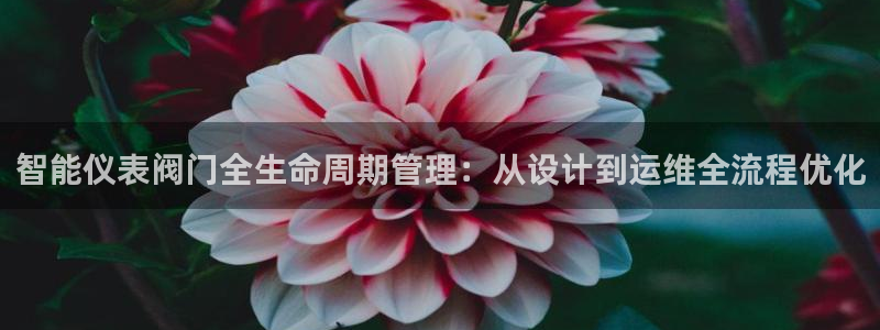 新宝gg1956登陆