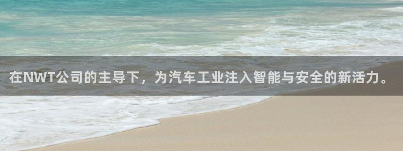 新宝 gg 总代理