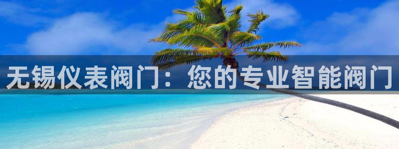 新宝gg玩