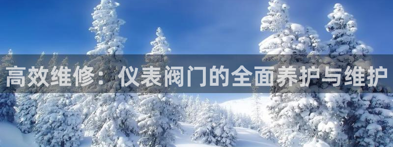 新宝gg招商42873