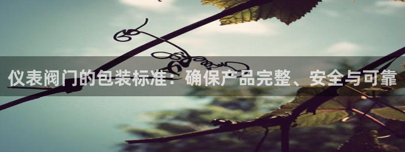 新宝GG速度