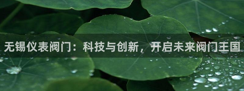 新宝gg挂机app
