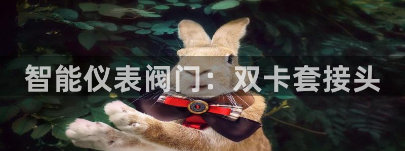 新宝GG反点