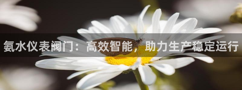 重庆新宝gg