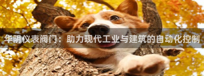 新宝-gg