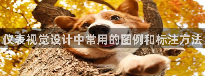 新宝gg平台登录