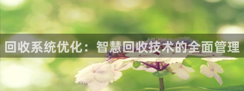 新宝gg挣钱