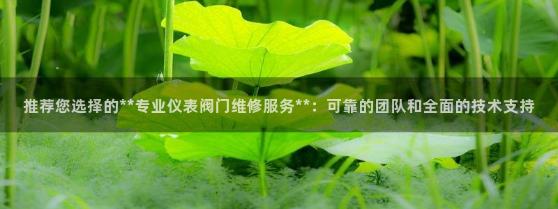 新宝gg登陆平台