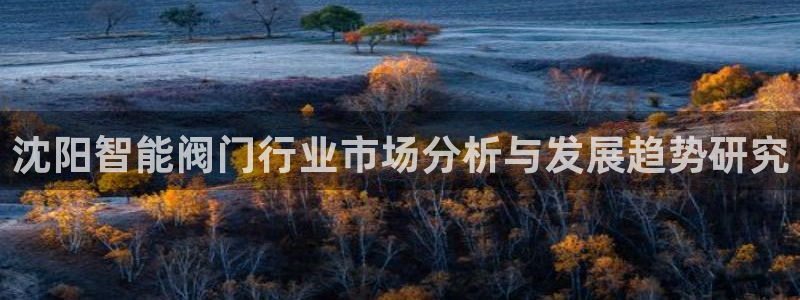 登录新宝GG
