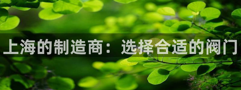 新宝gg漏洞
