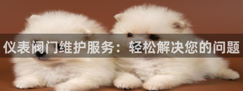 新宝gg 主管