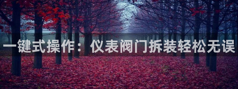 怎么下载新宝gg
