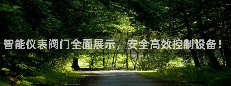 新宝gg奇迹