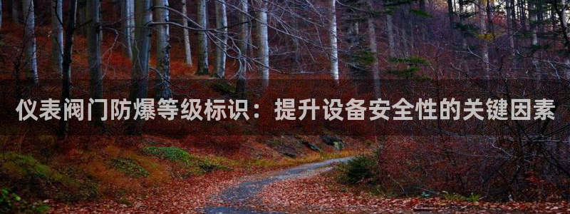 新宝gg官方主管