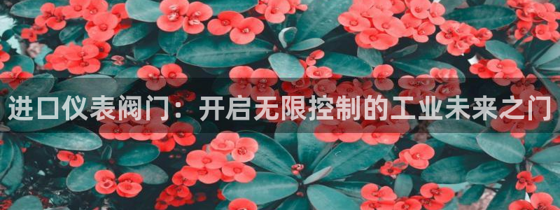 新宝GG主管41333