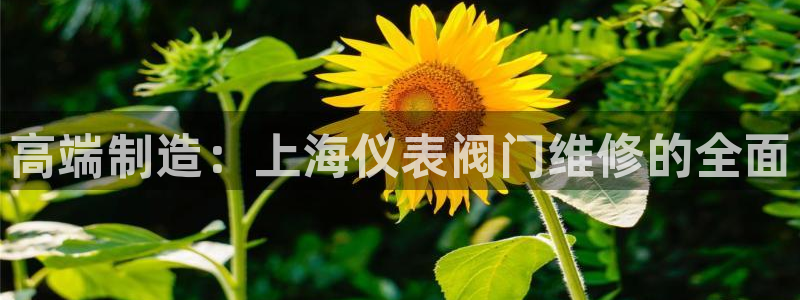 新宝gg-