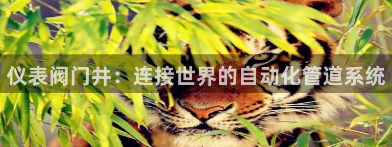 新宝gg类似