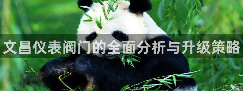 怎么下载新宝gg
