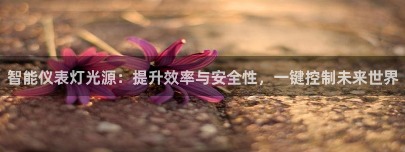 新宝gg创造奇迹 新宝gg