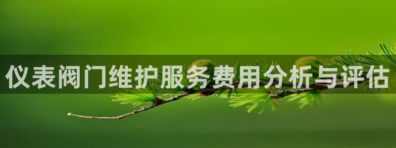 新宝gg手机