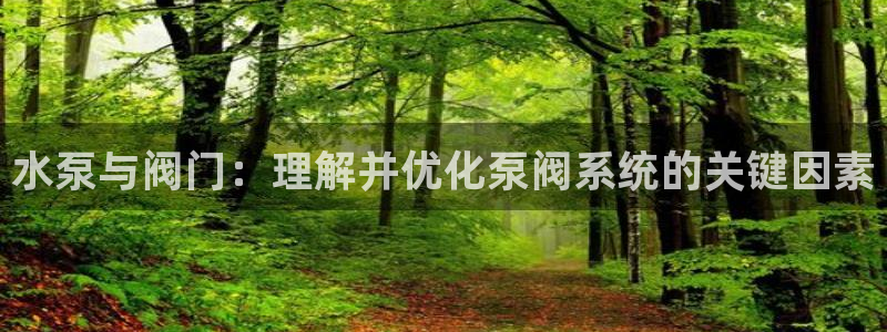 新宝gg玩法