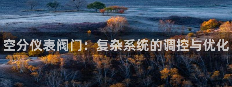 新宝一GG