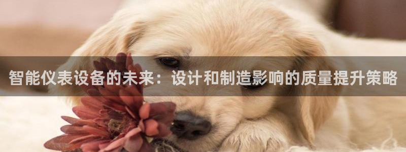 新宝gg提点