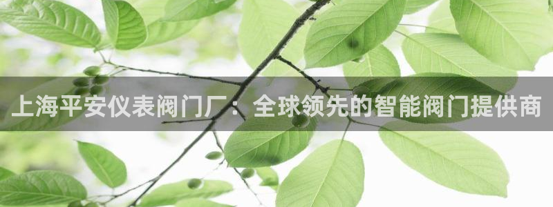 新宝gg奇迹