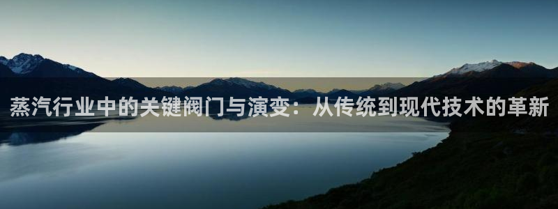 关于新宝GG