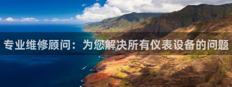 新宝gg挂机软件下载