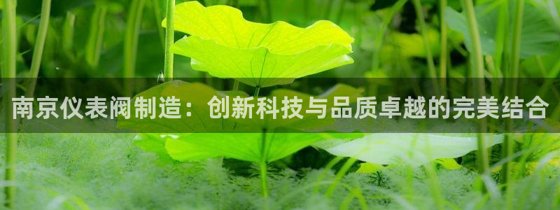 新宝gg最新章节