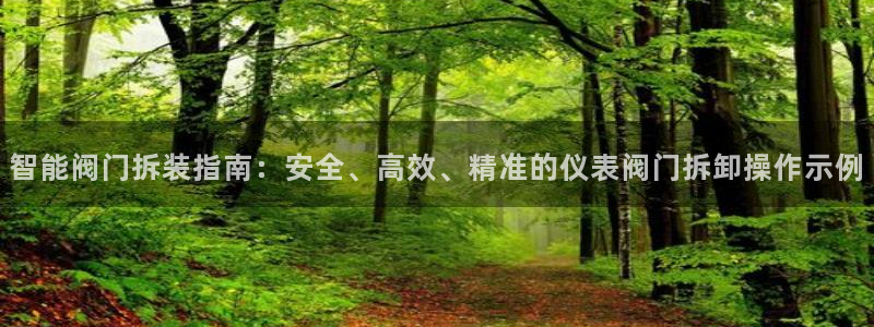 新宝gg 创造奇迹