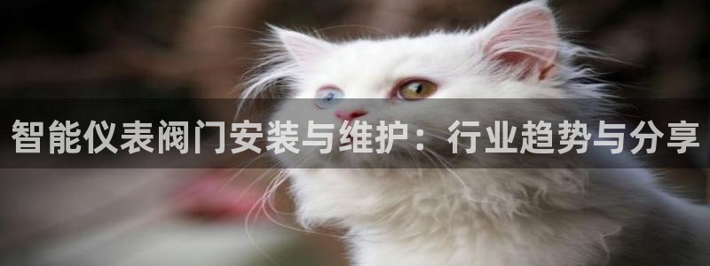 新宝gg好吗