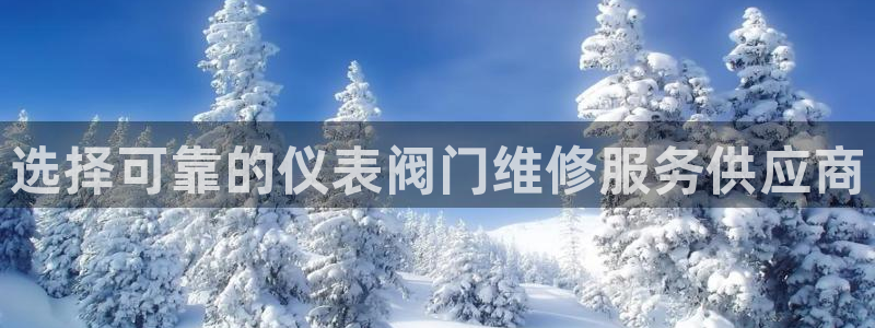 下载新宝gg怎么下载